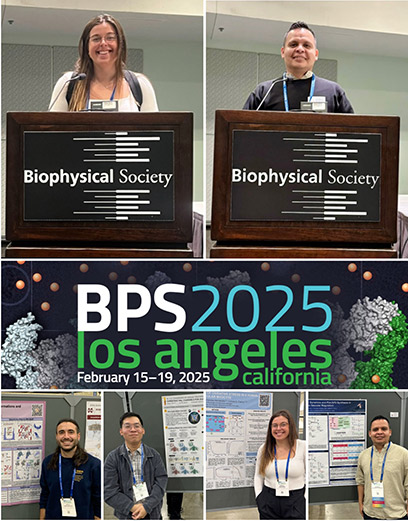 Scientific Talks and Poster Presentations at the Biophysical Society 69th Annual Meeting in Los Angeles