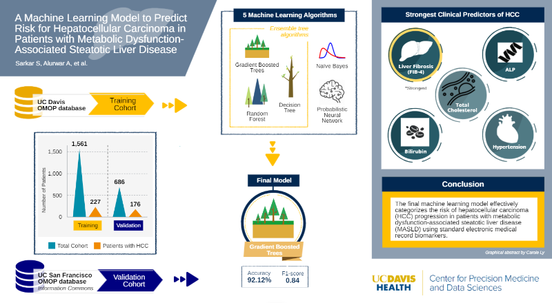 MASLD to HCC graphical abstract