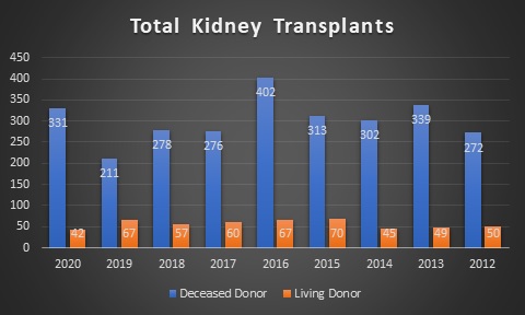 Total Kidney Transplants Graph year-over-year