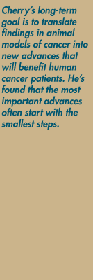 Cherry's long-term goal is to translate findings in animal models of cancer into new advances that will benefit human cancer patients. He's found that the most important advances often start with the smallest steps.