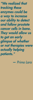 "We realized that tracking these enzymes could be
a way to increase our ability to detect and follow prostate cancer cells in bone. They would allow us to get an early glimpse of whether or not therapies were actually helping patients." — Primo Lara