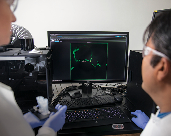 Project scientist Venktesh Shirure views computer image of tumor response to drug