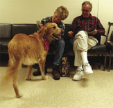 PHOTO -- Cancer claimed Basil’s hind leg and spread throughout his body, but a clinical trial at UC Davis put the disease into remission.