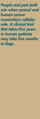 People and pets both win when animal and human cancer researchers collaborate. A clinical trial that takes five years in human patients may take five months in dogs