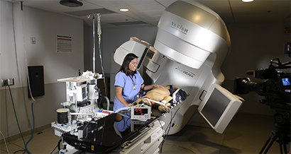 Veterinarian scanning a dog