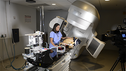 Veterinarian scanning a dog