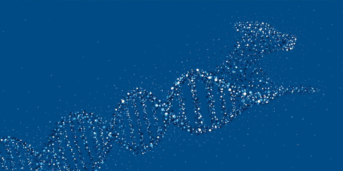 Canine Tumor  Genome Atlas