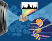 PHOTO — With Raman spectroscopy, laser beams holdfloating cells in place long enough to measure the minute differences that distinguish cancer cells.