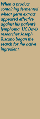 When a product containing fermented wheat germ extract appeared effective against his patient's lymphoma, UC Davis researcher Joseph Tuscano began the search for the active ingredient.