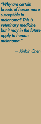 "Why are certain breeds of horses more susceptible to  melanoma? This is veterinary medicine, but it may in the future apply to human melanoma." — Xinbin Chen