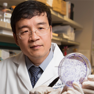 Allen Gao examines cultures in the research lab. (c) UC Regents