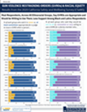 Extreme Risk Protection Orders Race/Ethnicity, and Equity: Evidence From California