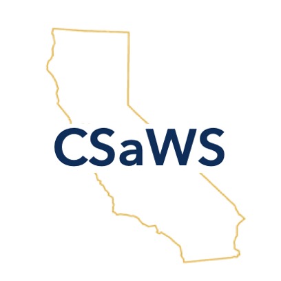 CSaWS_2018